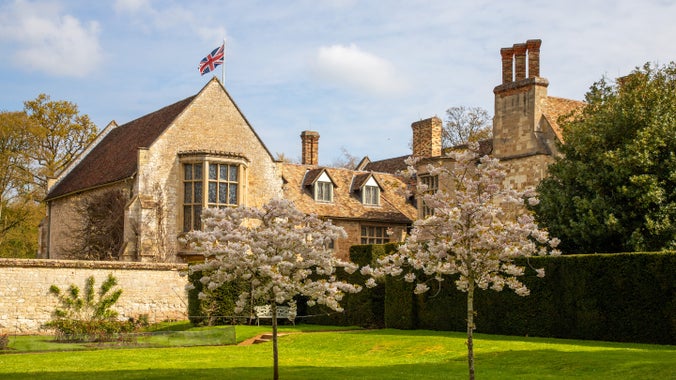 Two cherry blossom trees in the Rose Garden at Anglesey Abbey. The flag is flying on the house behind the trees.